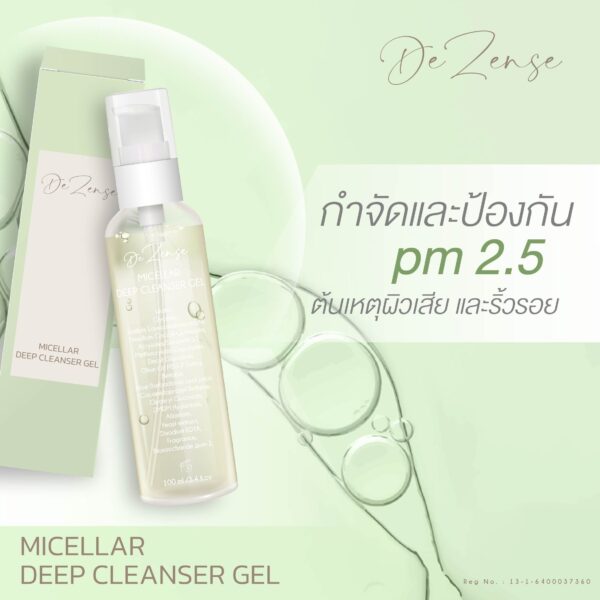 Dezense-pm-2.5-remove